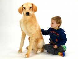 Plyšový sediaci pes Labrador, výška 83 cm