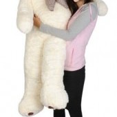 Veľký plyšový medveď