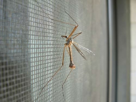 Sieťka do okna proti hmyzu 130 cm x150 cm